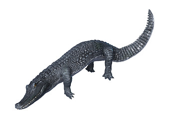 Image showing Caiman