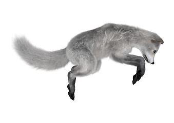 Image showing Arctic Fox