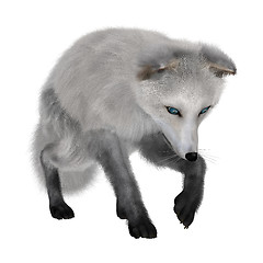 Image showing Arctic Fox