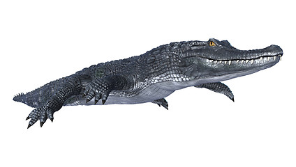 Image showing Caiman