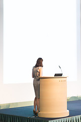 Image showing Business woman making business presentation.