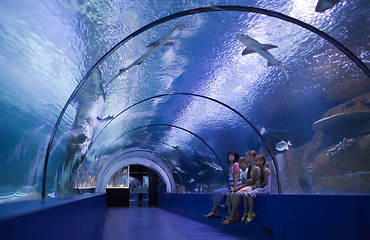 Image showing Family in a water tunnel