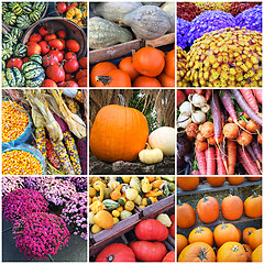 Image showing Autumn market collage