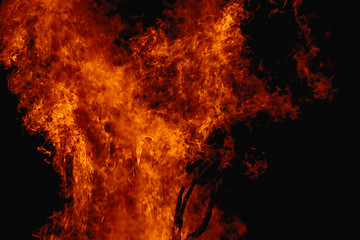 Image showing Campfire flames