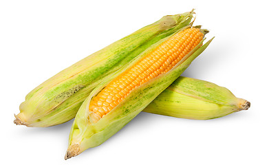 Image showing Three cross lying corn cob