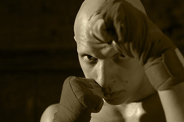 Image showing portrait of a boxer