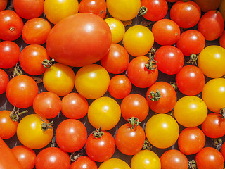 Image showing Cherry tomato vegetables