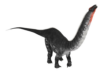 Image showing Dinosaur Apatosaurus