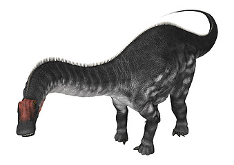 Image showing Dinosaur Apatosaurus