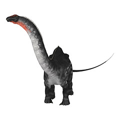 Image showing Dinosaur Apatosaurus