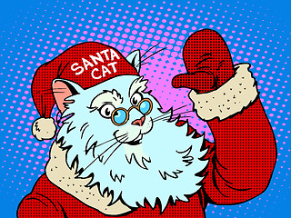 Image showing Santa Claus cat