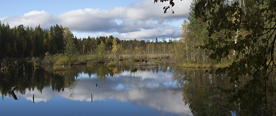 Image showing Panorama of beautiful swamp in taiga