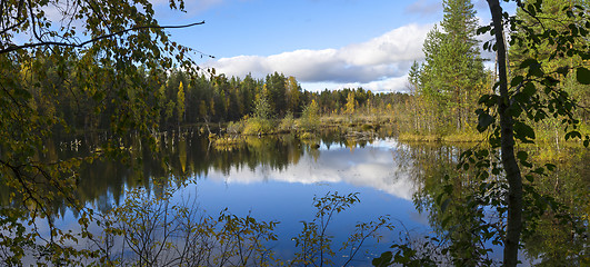 Image showing Beautiful swamp in nothern taiga