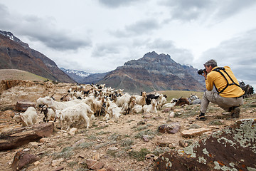 Image showing Animal Nature photographer