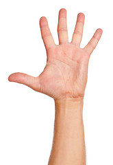 Image showing Man hand