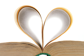 Image showing heart shaped leaves of the open book