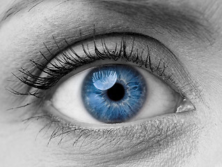 Image showing Woman eye