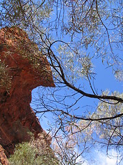 Image showing Kings Canyon red rock