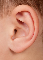 Image showing Child ear