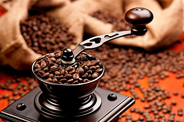 Image showing Coffee grinder