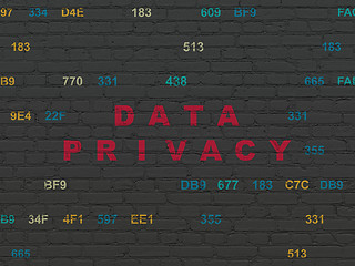 Image showing Security concept: Data Privacy on wall background