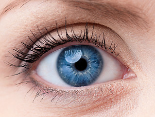 Image showing Woman eye