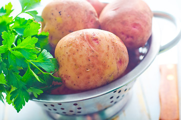 Image showing potato