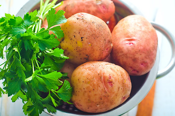 Image showing potato