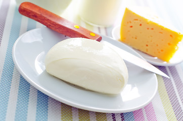 Image showing fresh cheese on the white plate