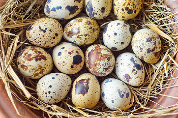 Image showing raw guail eggs