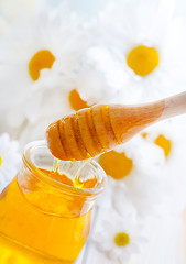 Image showing fresh honey in the glass bank and camomiles