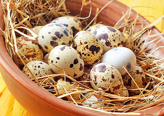 Image showing raw guail eggs