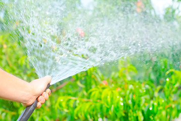 Image showing Working watering garden from hose