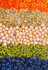 Image showing different kind of beans