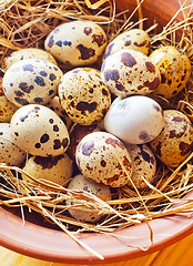 Image showing raw guail eggs