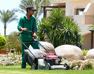 Image showing Gardener with lawn mower