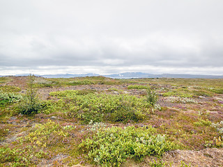 Image showing landscape in Iceland