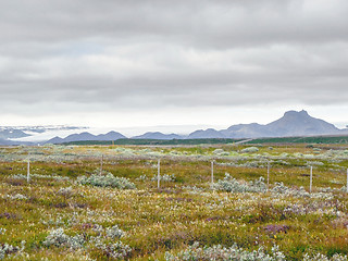 Image showing landscape in Iceland