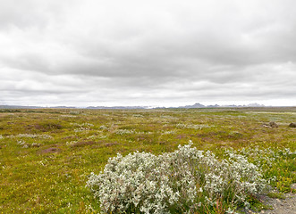 Image showing landscape in Iceland