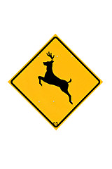 Image showing deer crossing sign isolated on white