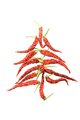 Image showing christmas tree from hot spice 