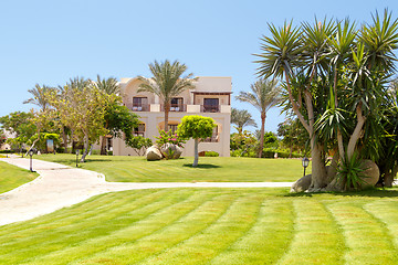 Image showing Tropical garden