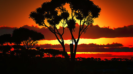 Image showing Sunset over beautiful lake region