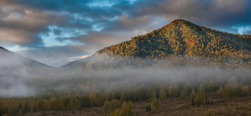 Image showing sunrise in taiga