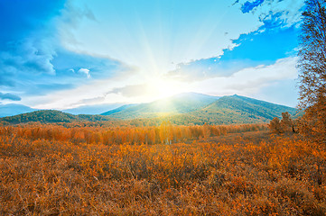 Image showing taiga and mountains