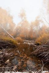 Image showing Autumn river