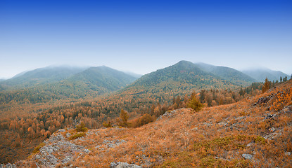 Image showing taiga and mountains