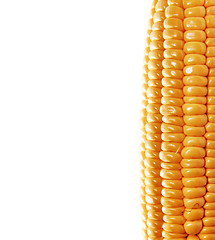 Image showing background with ear of corn