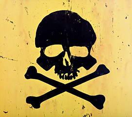 Image showing skull and crossbones