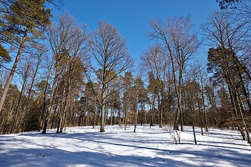 Image showing Winter Park